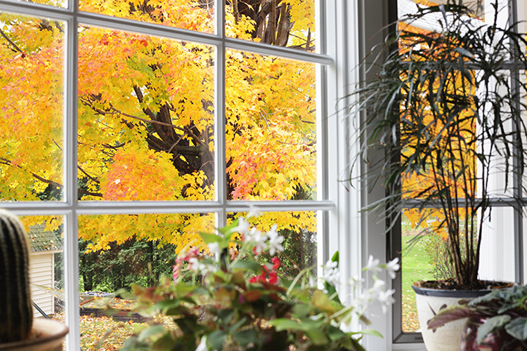 A window with a view of a fall landscape. Preparing Your HVAC System for the Fall.